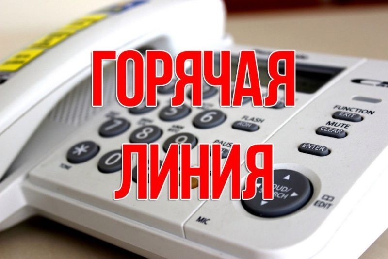 Внимание: горячая линия