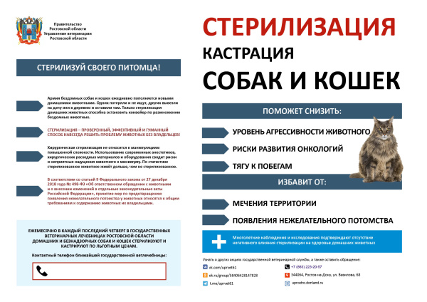 Батайчанам разъясняют правила содержания и выгула домашних животных, а также по их стерилизации