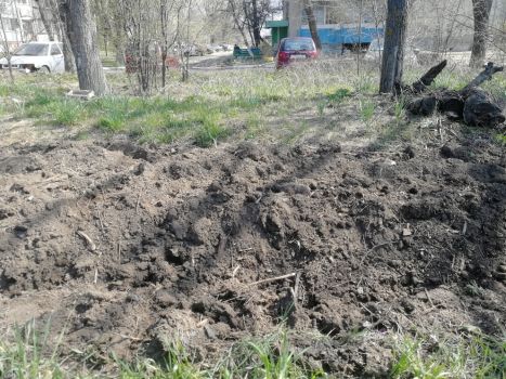 опашка4_350.jpg