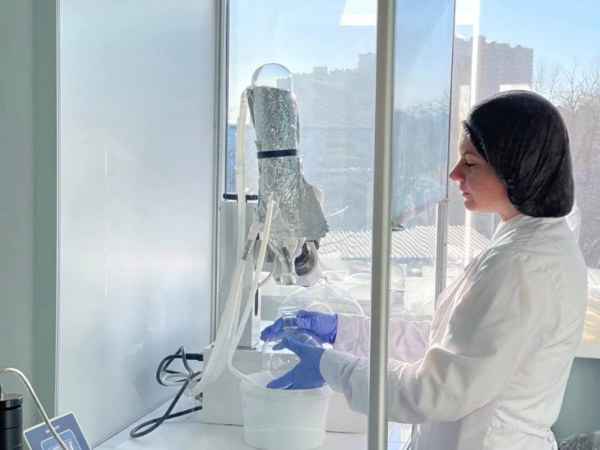 В 2025 году 40 донских компаний с господдержкой подали заявки на регистрацию брендов